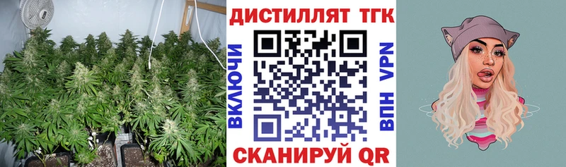 Дистиллят ТГК Wax Тбилисская
