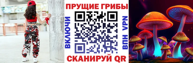 даркнет наркотические препараты Тбилисская Галлюциногенные грибы GOLDEN TEACHER