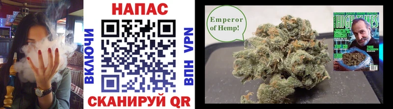 Канабис OG Kush купить цена shop официальный сайт Тбилисская